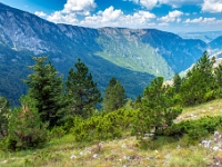 Durmitor